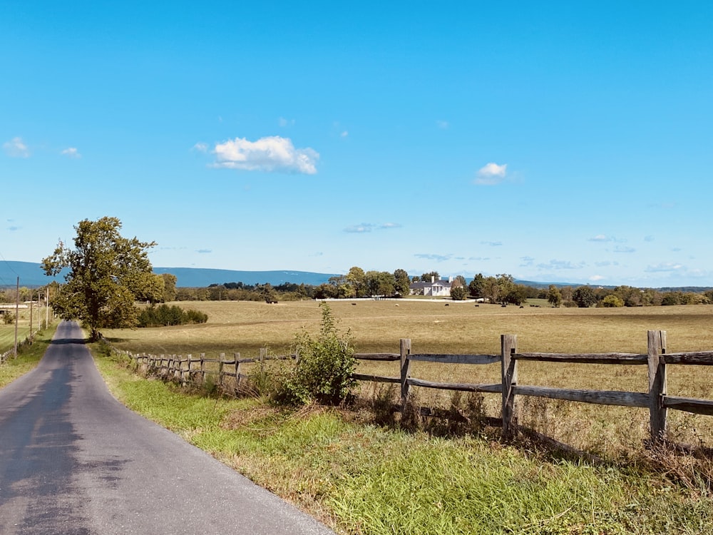 brown and green grass field near road