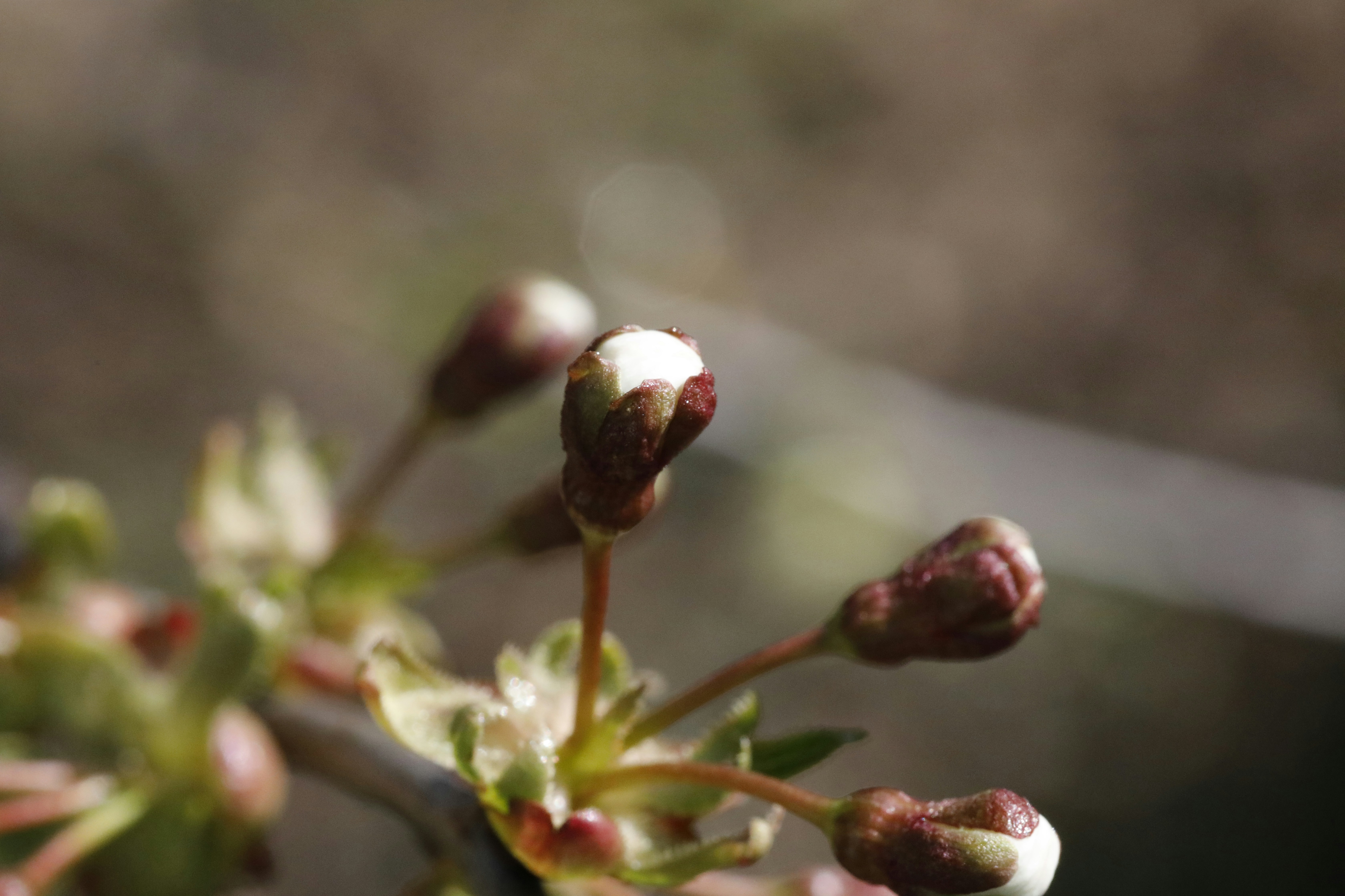 Photo by georgeiermann