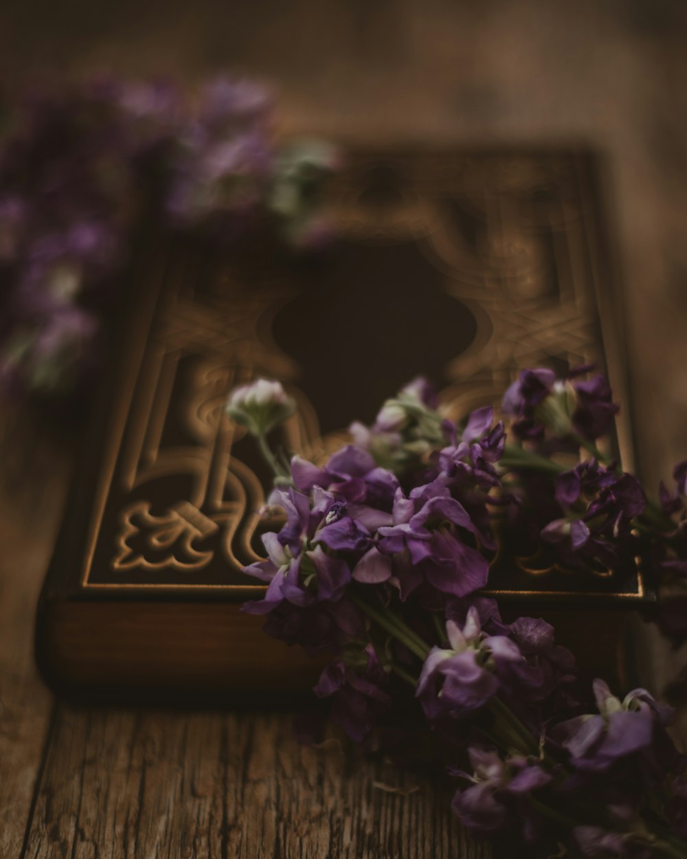 Fotografía de enfoque selectivo de flores púrpuras en libro cerrado