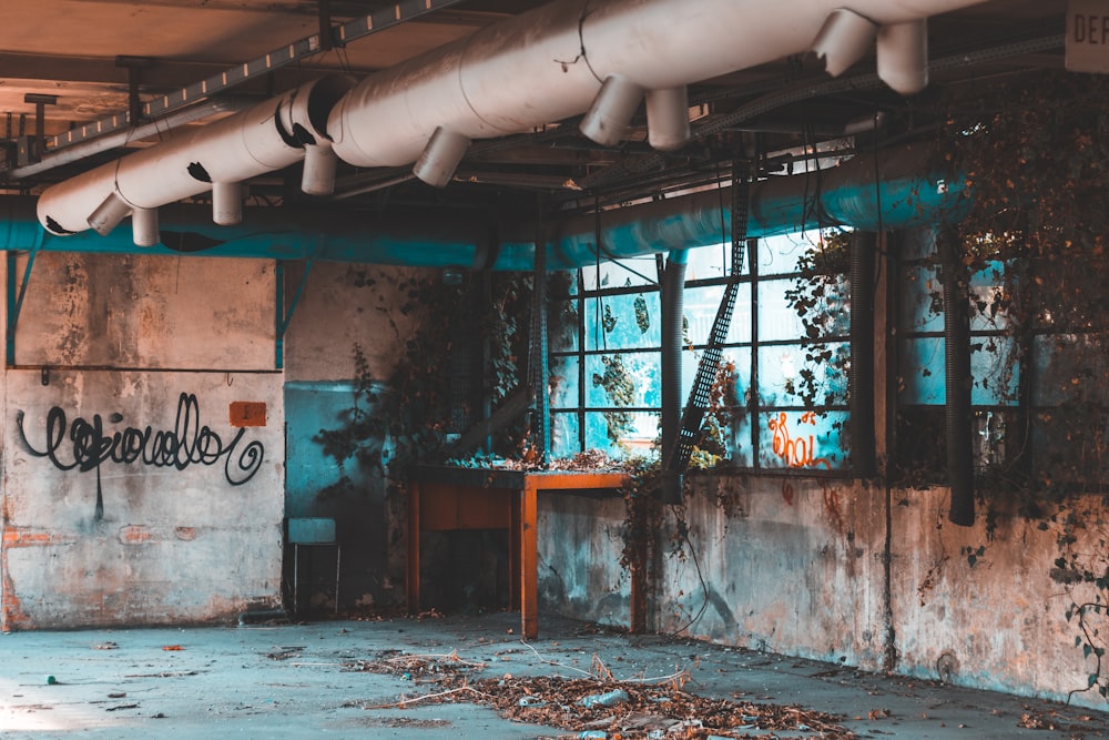 brown leaves on floor inside abandoned building