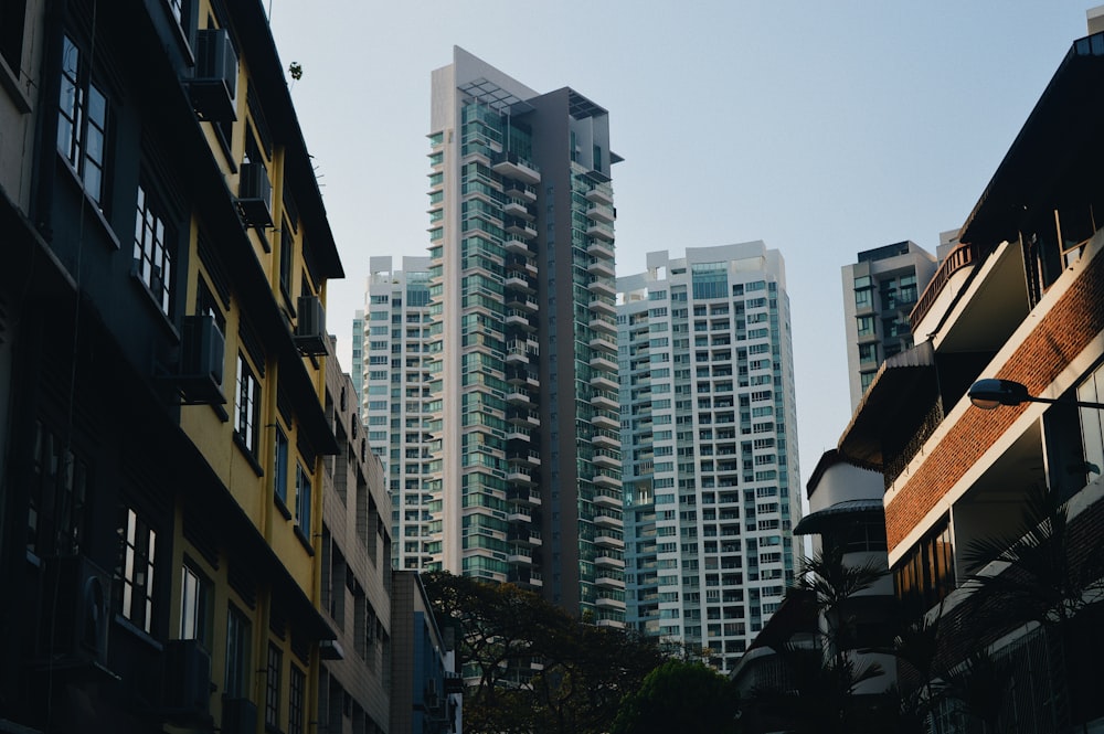 city with high-rise buildings near trees during daytime