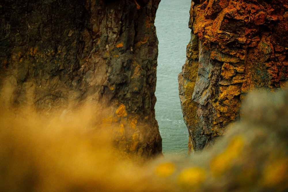 brown coastal cliff during daytime