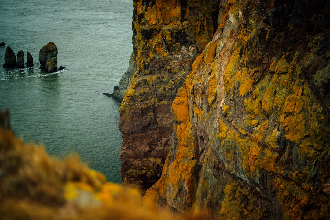 Travel Tips and Stories of Cape Split in Canada