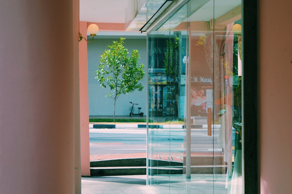 black kick scooter parking near white building beside green leaf plant