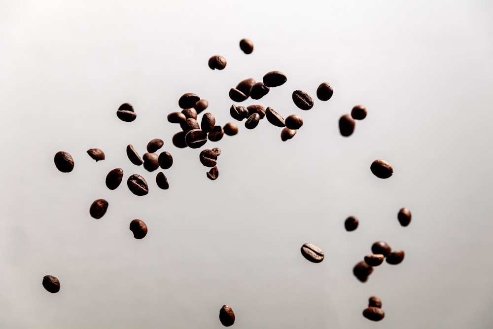 brown coffee beans