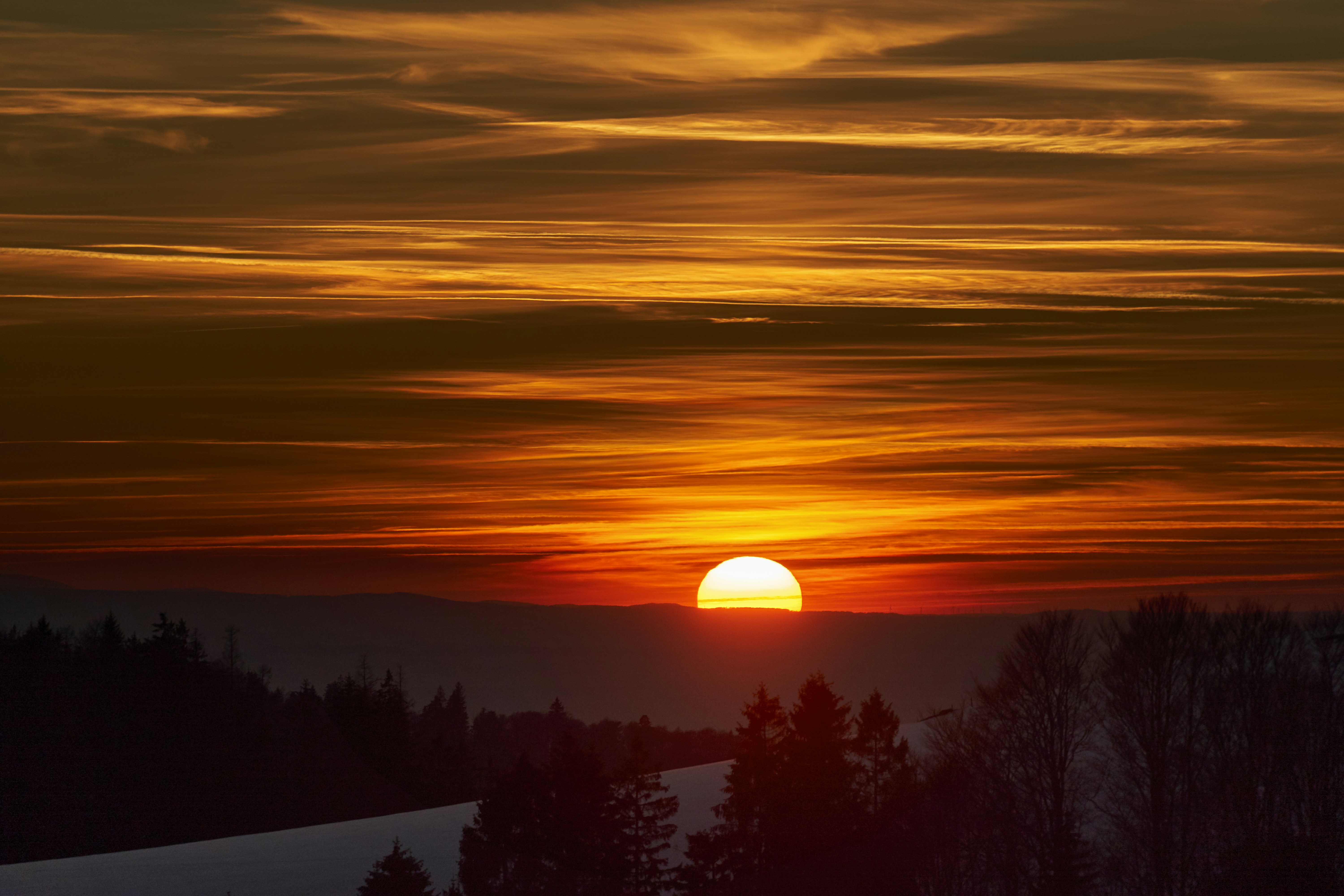 Photo by wolfgang_hasselmann