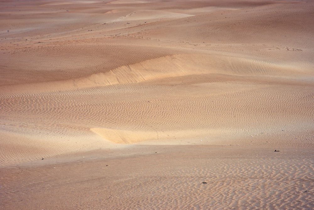 brown desert during daytime