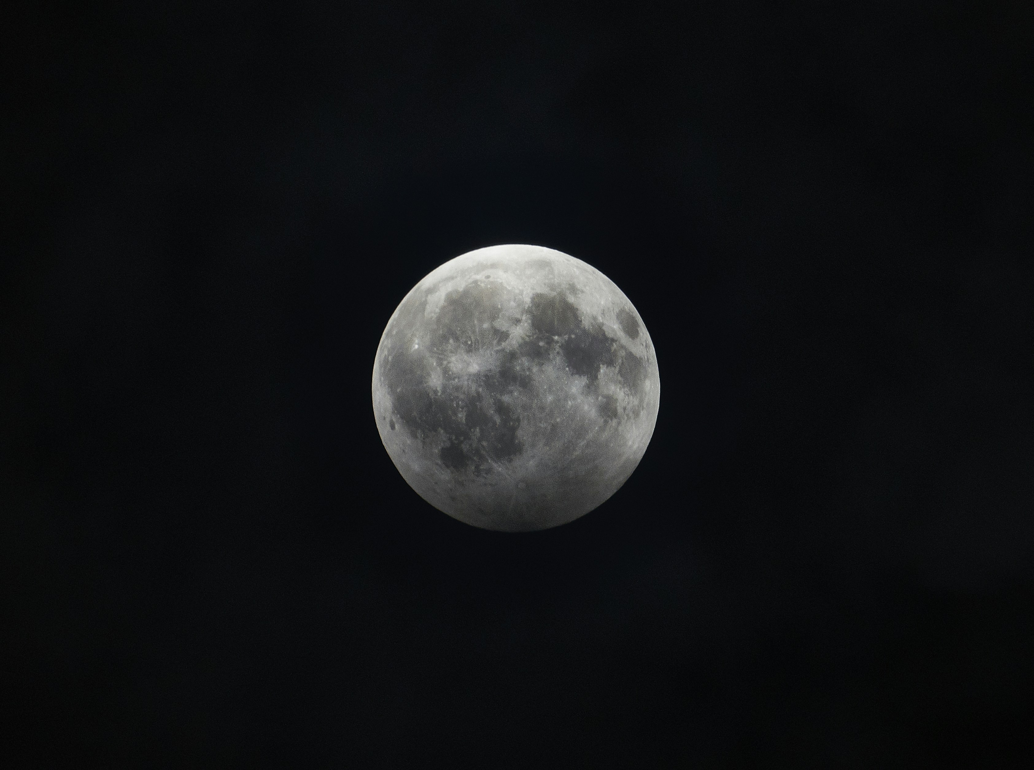 Podo Point header image