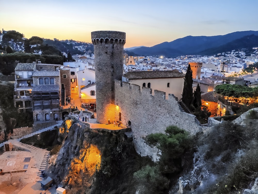 gray castle near houses during night time