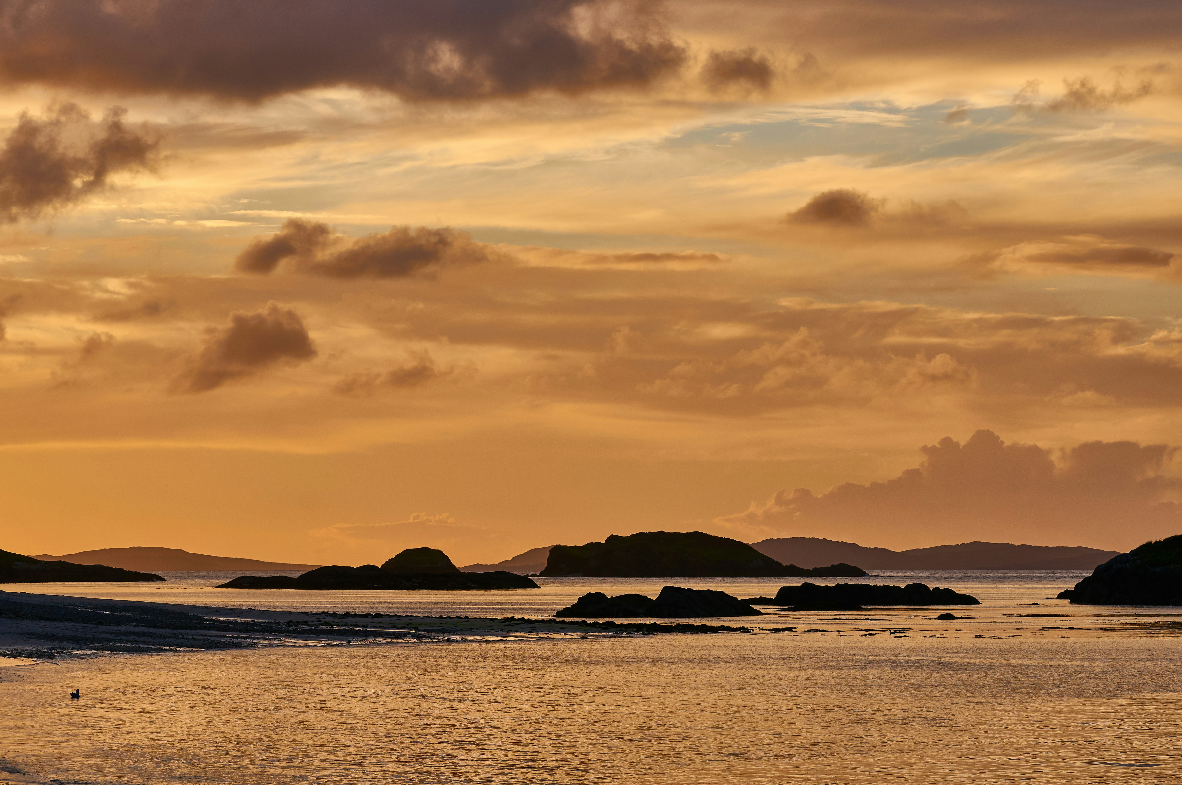 Photo by wolfgang_hasselmann