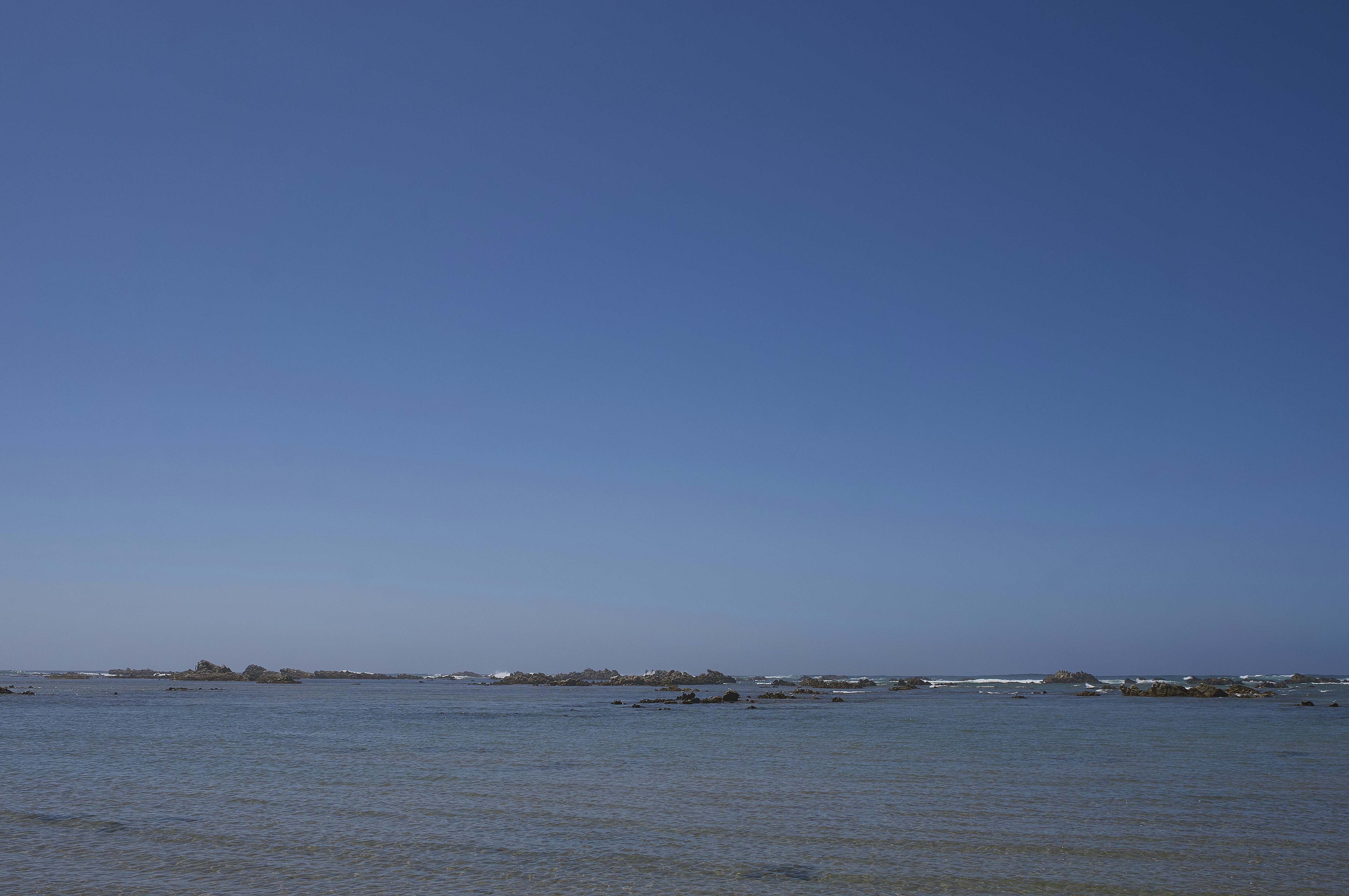 Photo by wolfgang_hasselmann