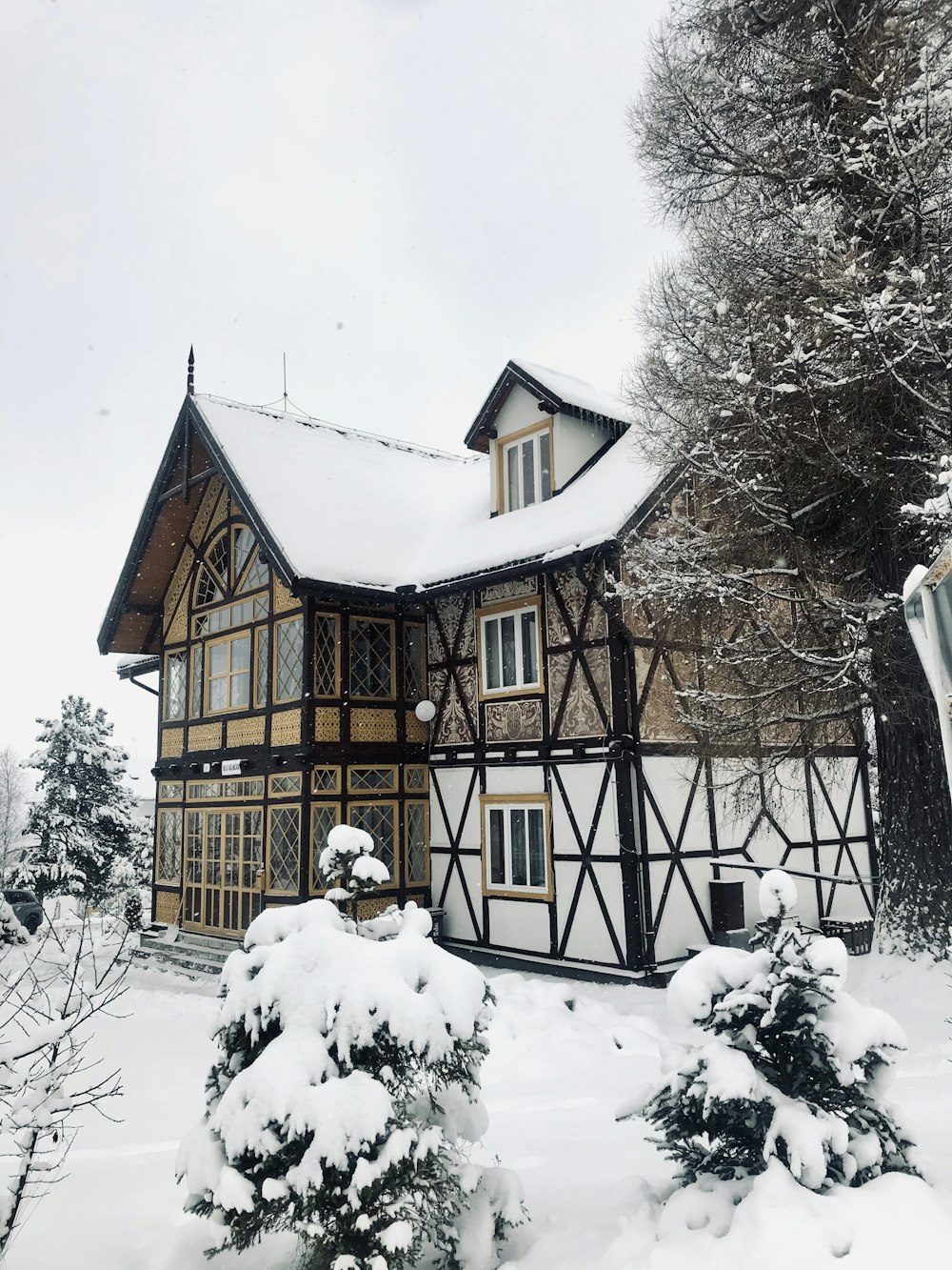 겨울에는 나무 옆의 흰색과 갈색 집