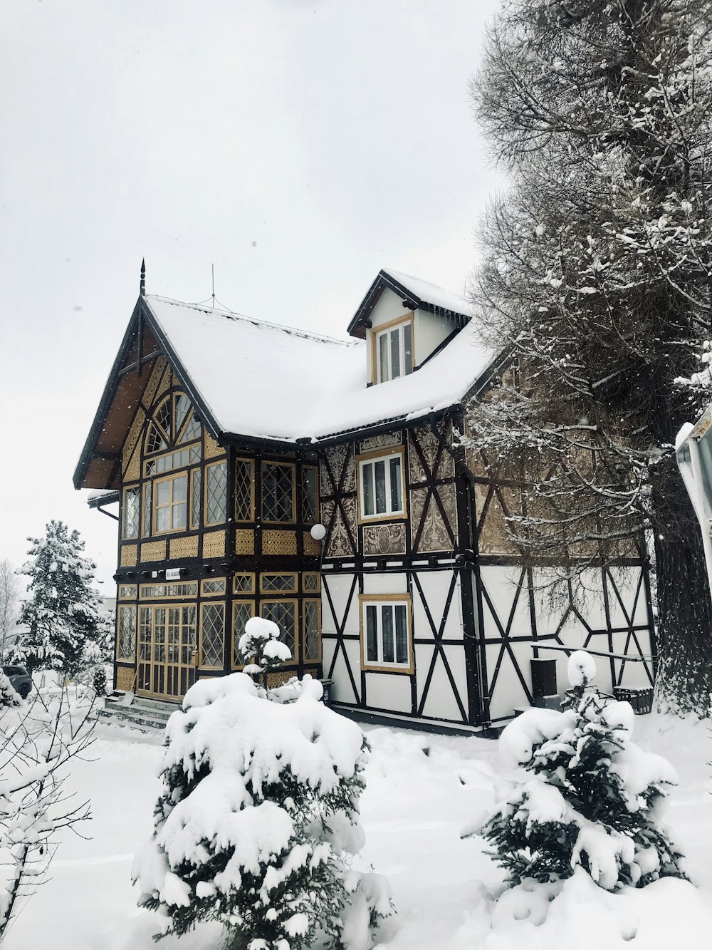 Maison blanche et brune à côté d’un arbre pendant l’hiver