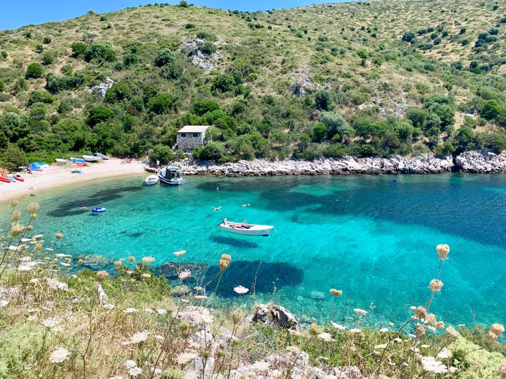 white boat on body of water during daytime