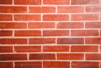 A close-up of a red brick wall with uniform rectangular bricks. The bricks are arranged in a staggered horizontal pattern with light-colored mortar in between.