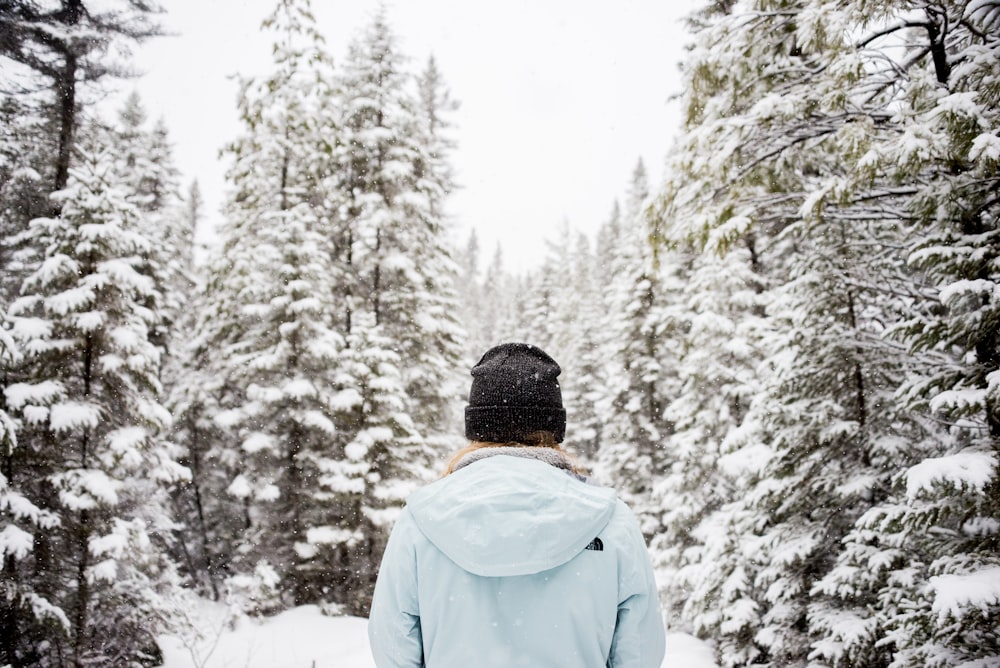 pessoa em pé perto de árvores cobertas de neve