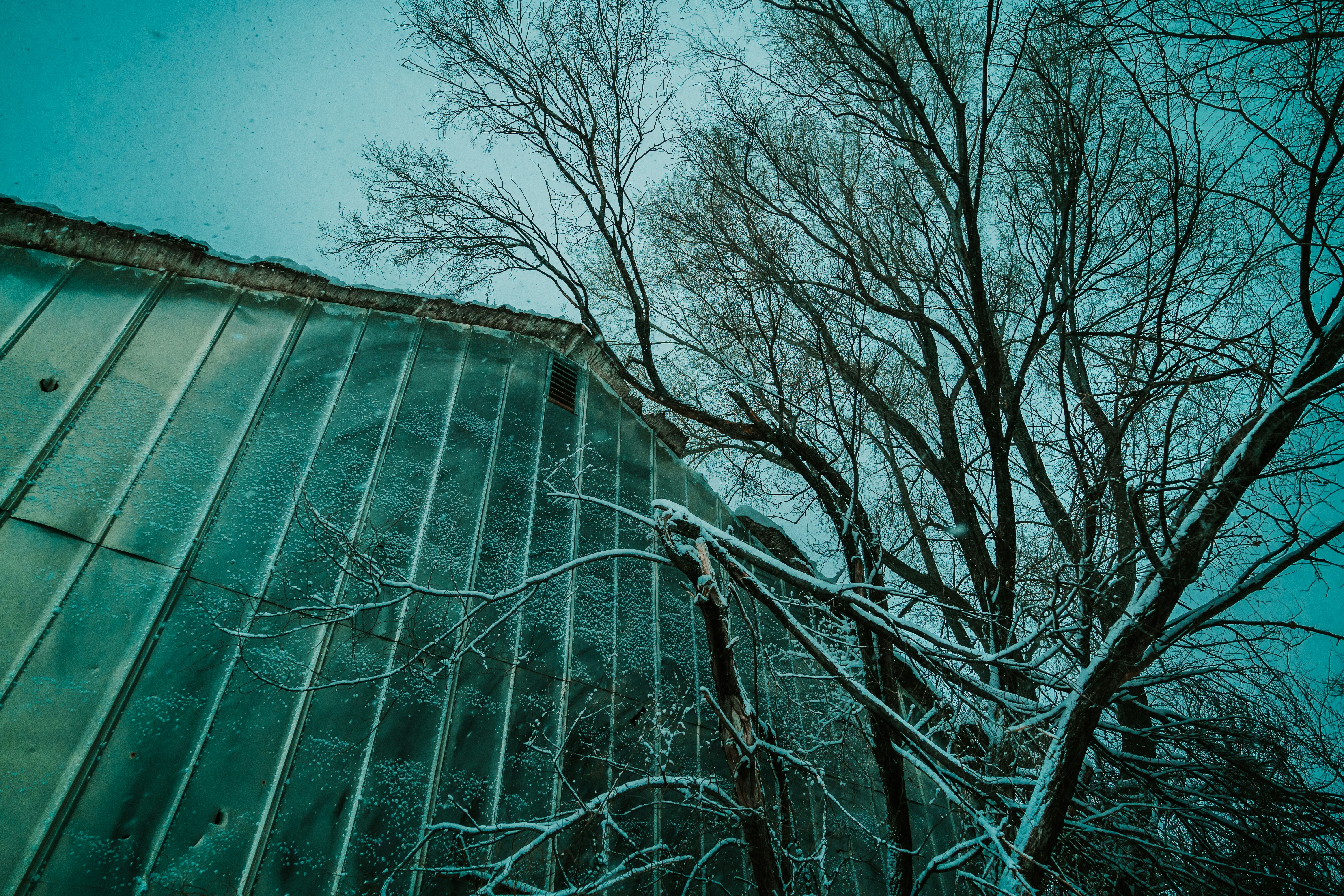 Photo by rdehamer