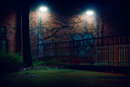 A moody city alley at night with subtle forest green accents highlighting the textures.
