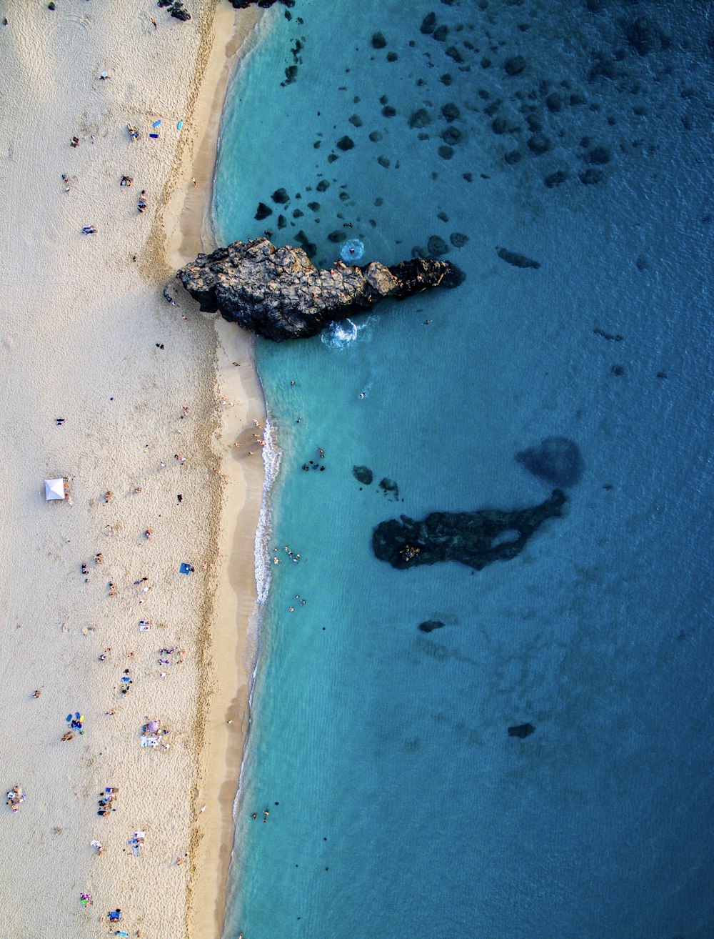 Fotografía aérea de la orilla del mar durante el día