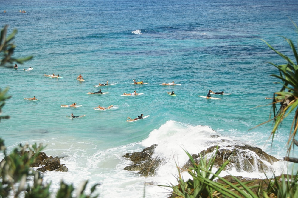 people surfing on sea