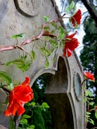 A vibrant display of red artificial flowers intertwined with green leaves on a textured stone archway. The perspective looks upward towards the arch, revealing circular designs and the lush green background of trees.