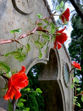 A vibrant display of red artificial flowers intertwined with green leaves on a textured stone archway. The perspective looks upward towards the arch, revealing circular designs and the lush green background of trees.