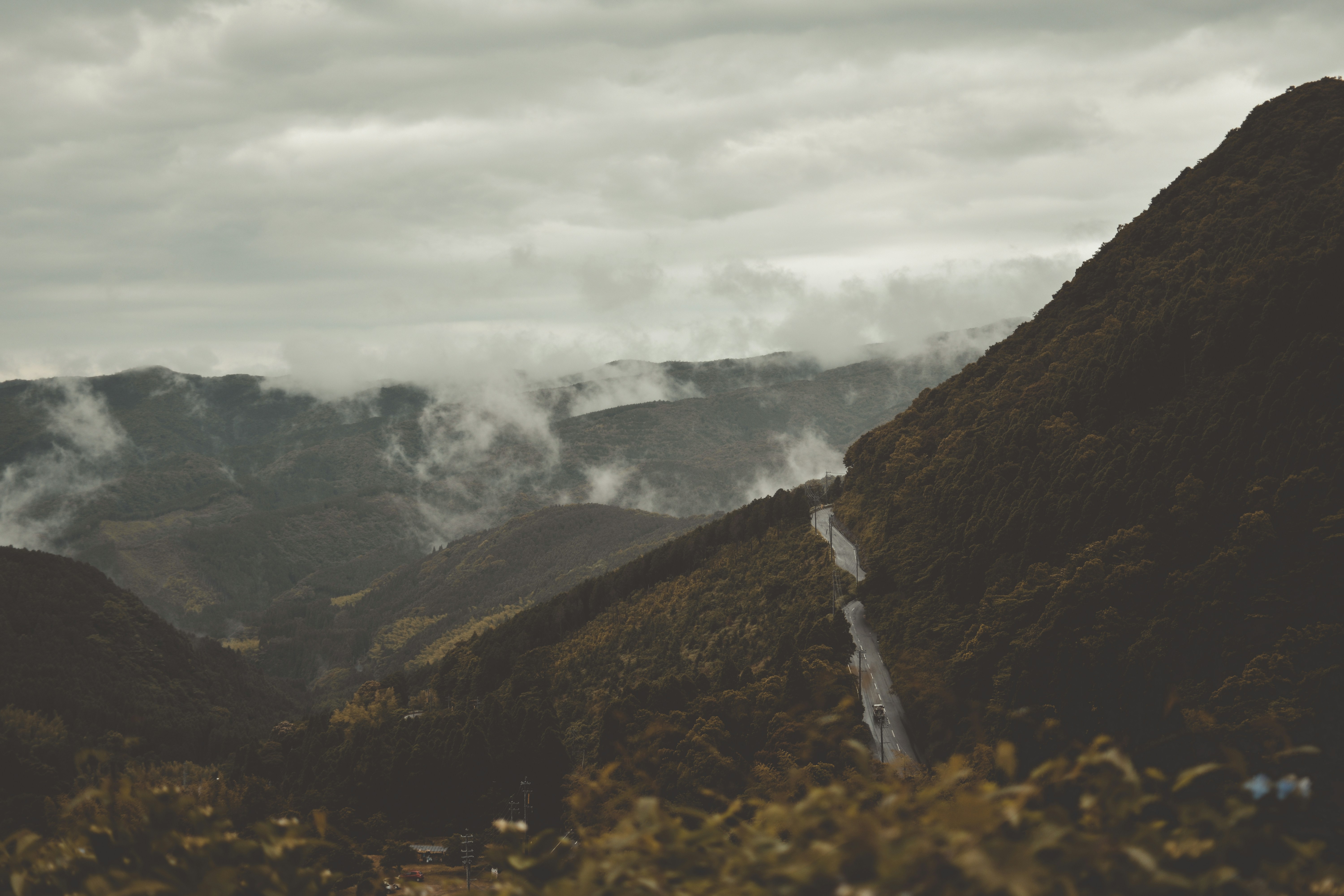 Photo by itssecondkaki