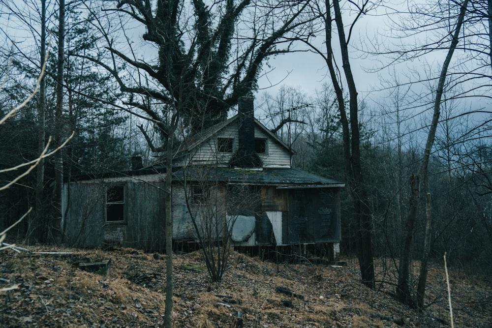 white and gray wooden house