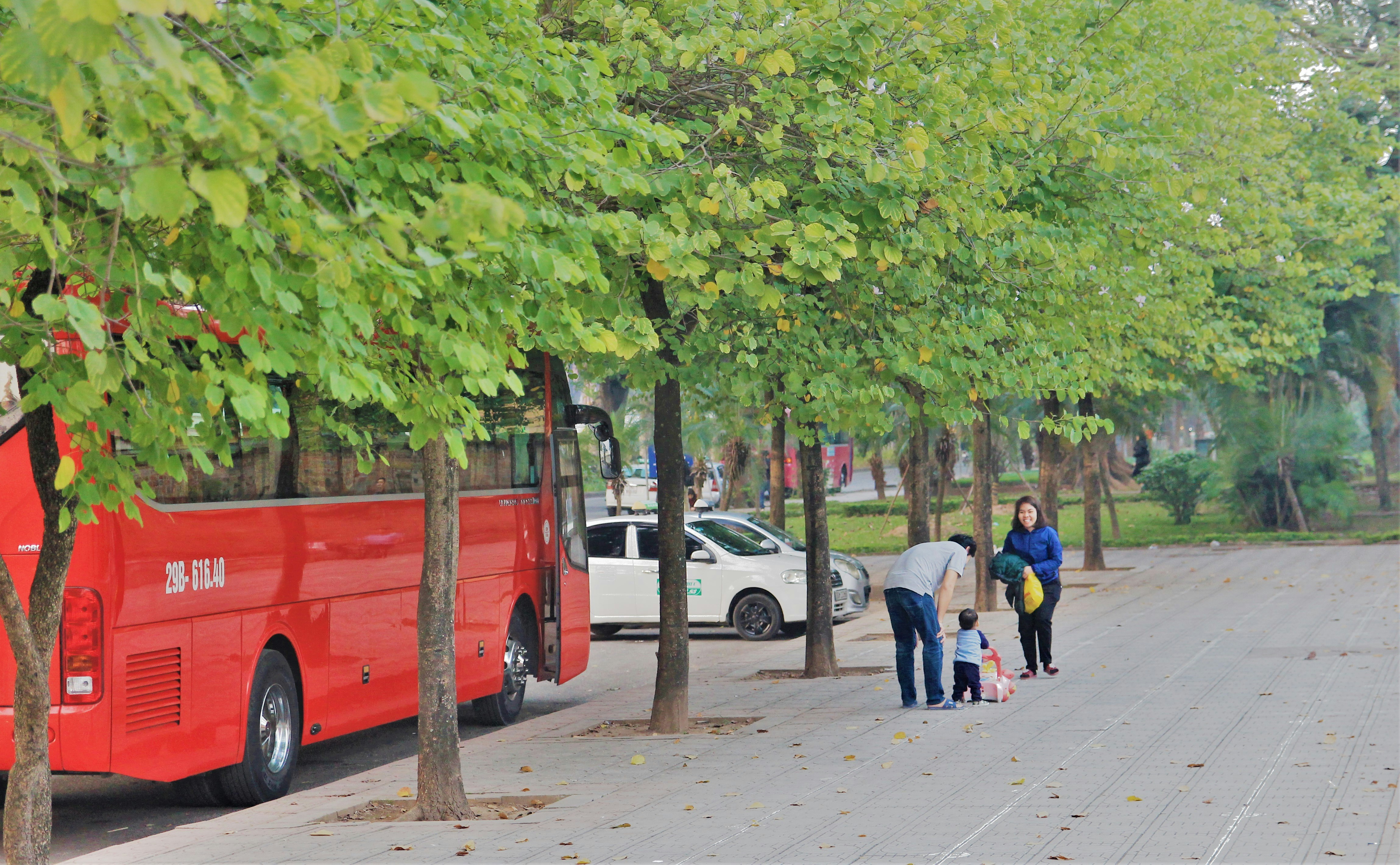 Book Your Lesson(Auto)