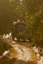 A rugged vehicle travels on a muddy and uneven dirt path surrounded by dense foliage. Several people are seated on top of the vehicle, enjoying the natural surroundings. The scene is bathed in a warm, golden light, suggesting a setting sun.