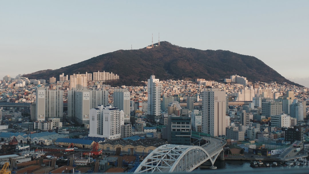 travelers stories about Landmark in Busan, South Korea