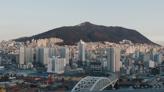 aerial photo of buildings in Yongdusan Park South Korea