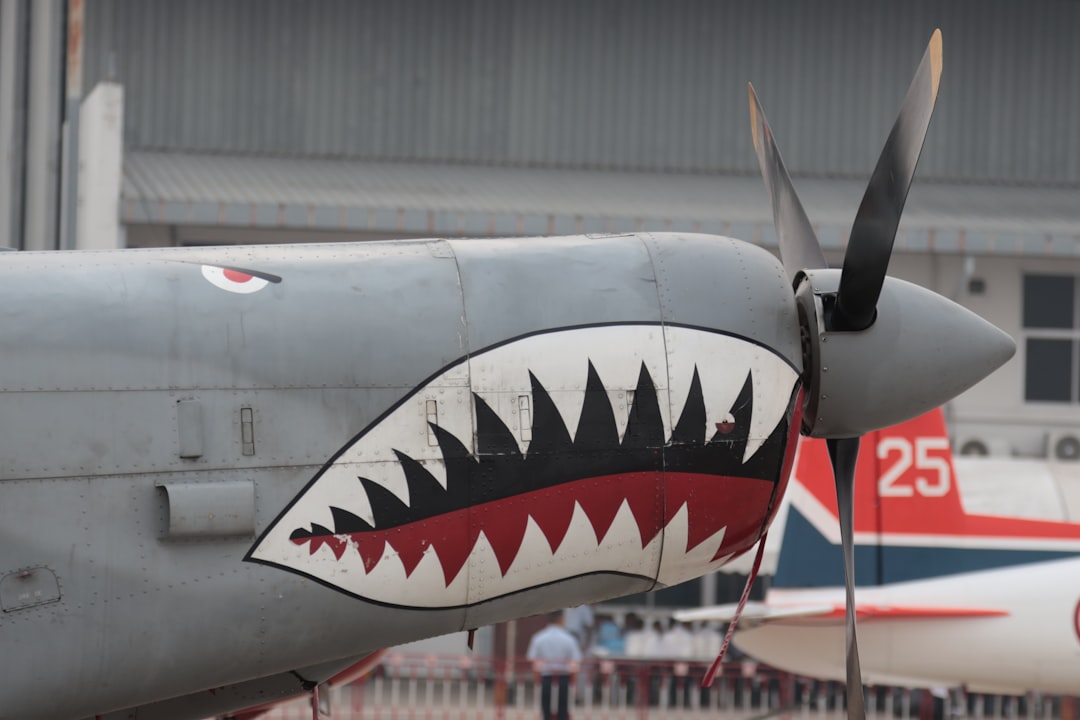 gray shark airplane