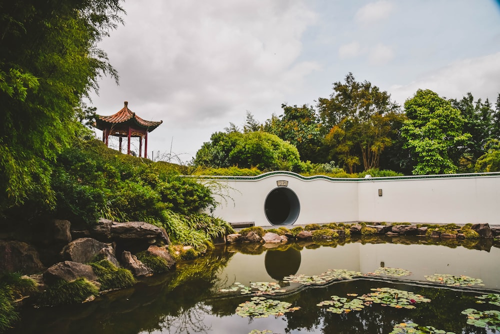 pond near rocks