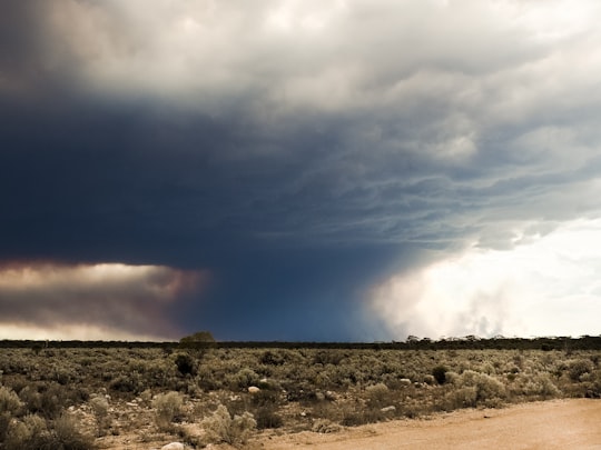 tornado at steppe in Western Australia Australia