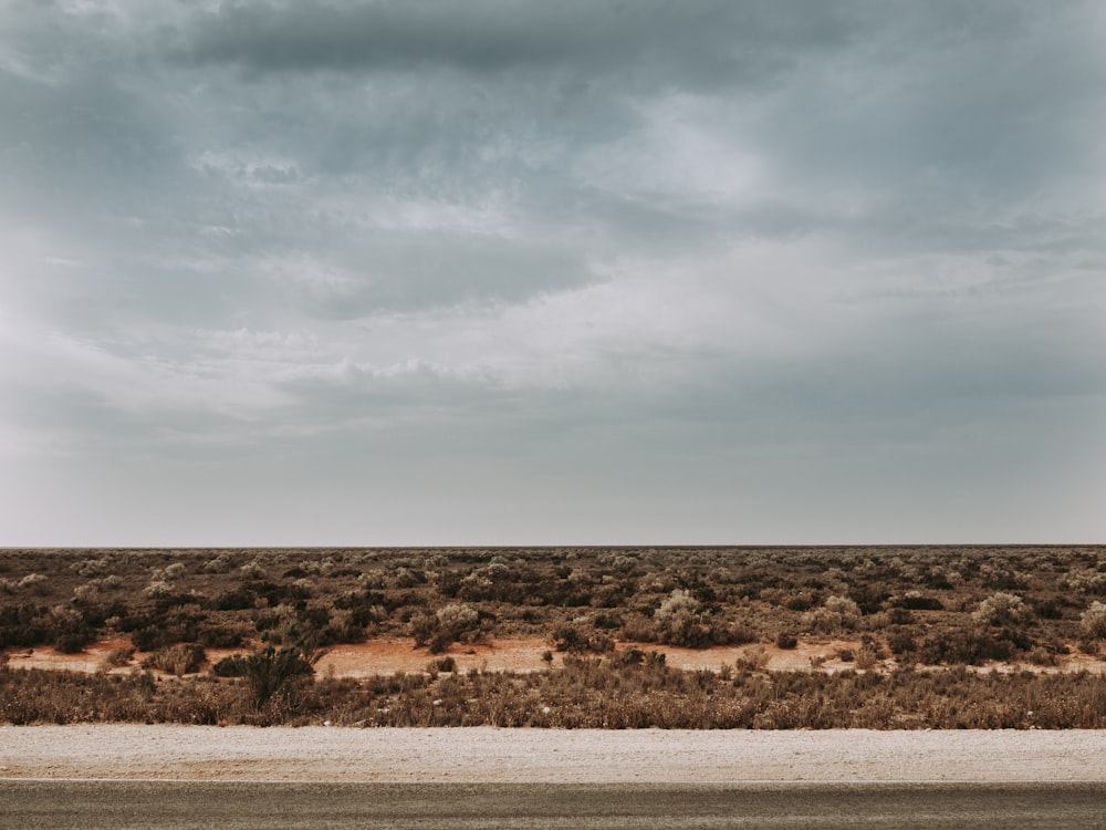 an empty road in the middle of a desert