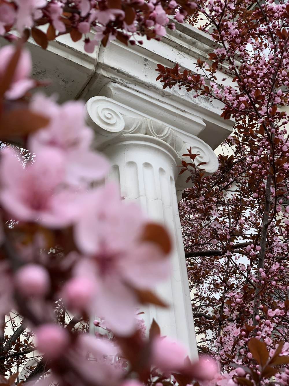 white concrete pillar