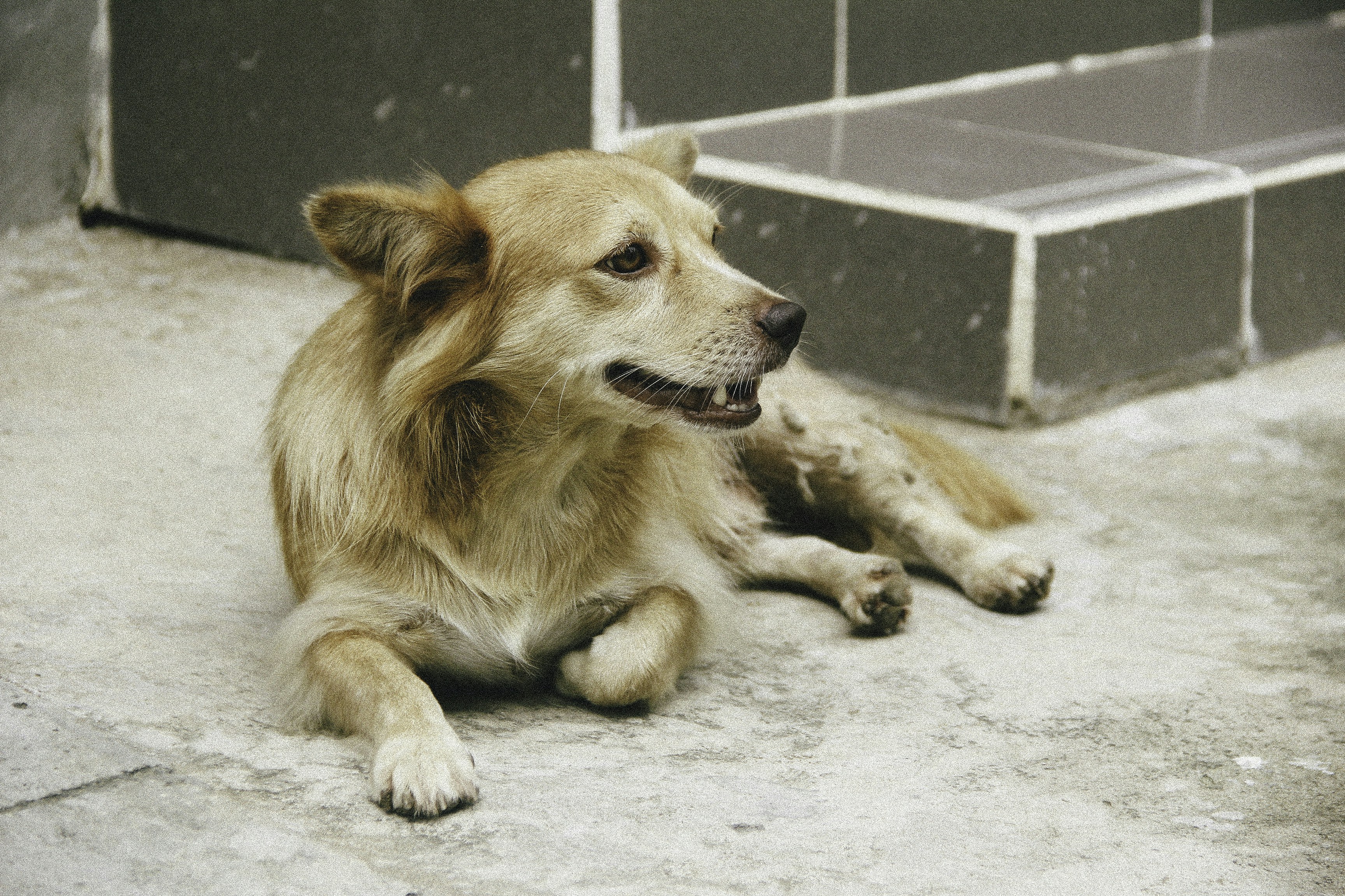 Photo by thanhserious_93