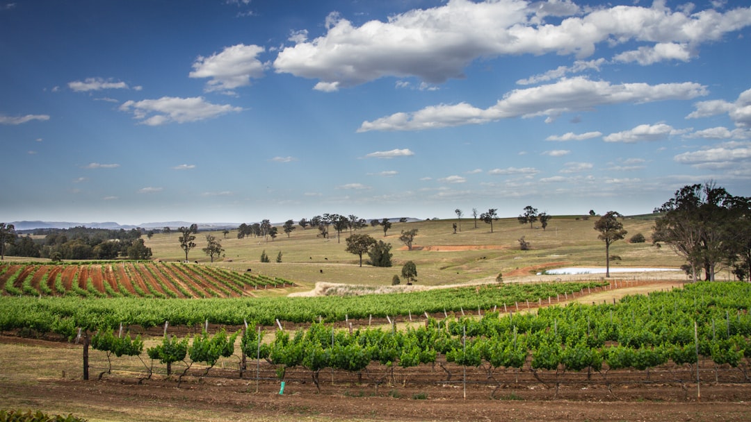 Plain photo spot Hunter Valley NSW