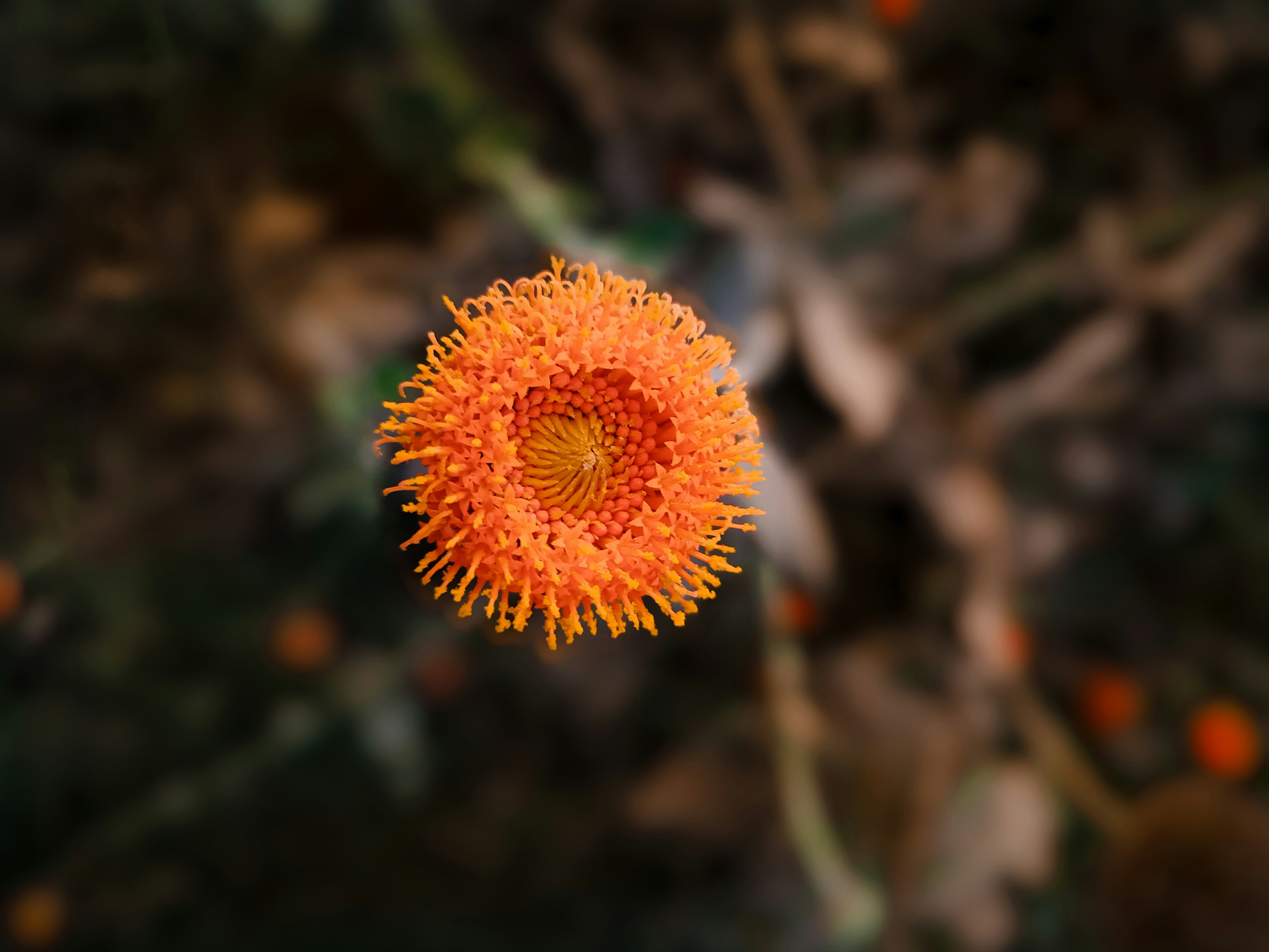 Photo by portafolio_cultural_mx