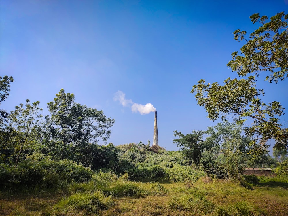 smoking tower