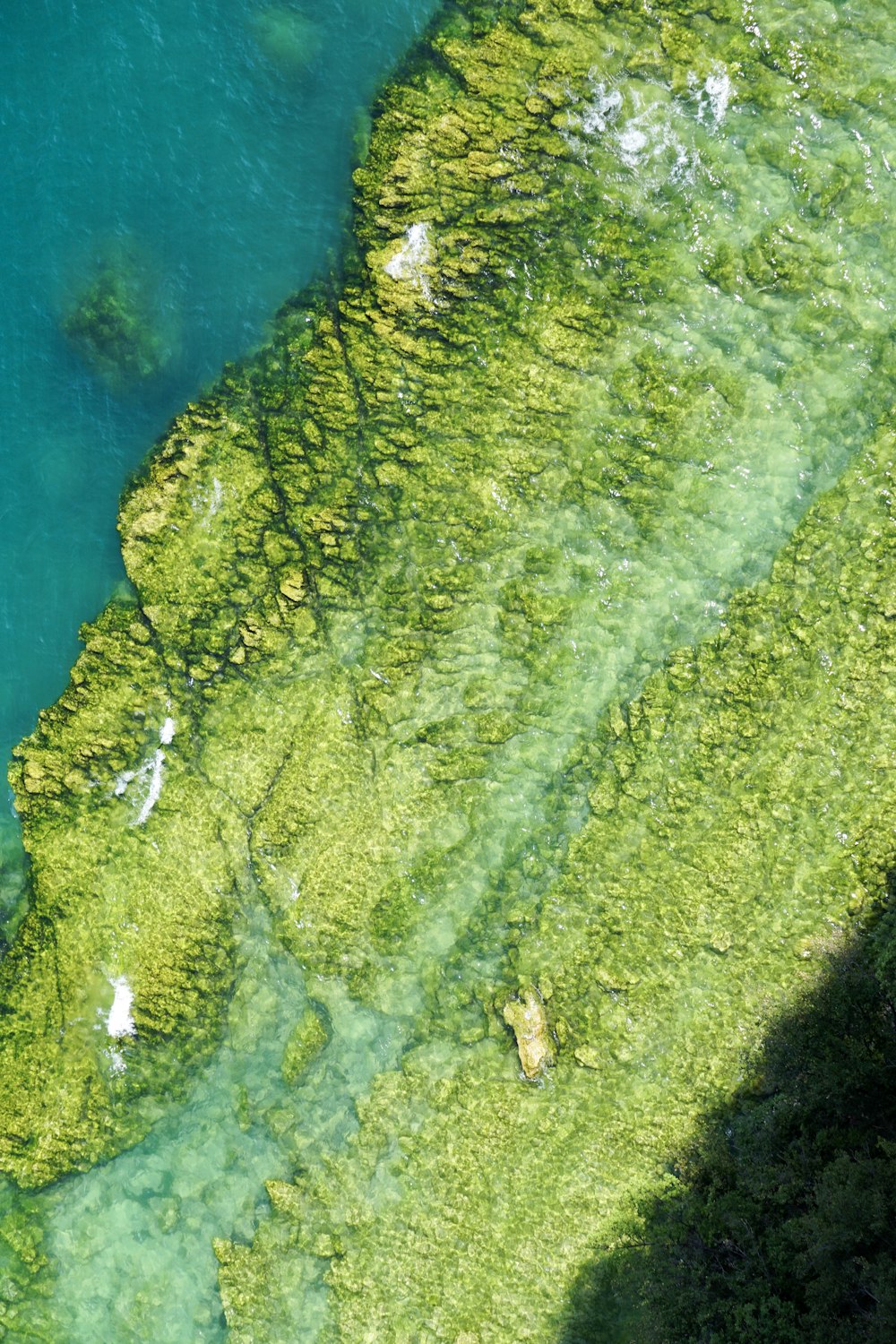 gray rock formation with moss