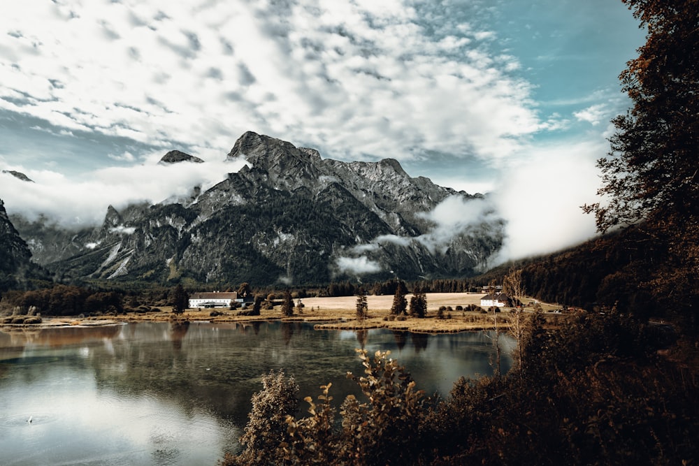 Bäume am See