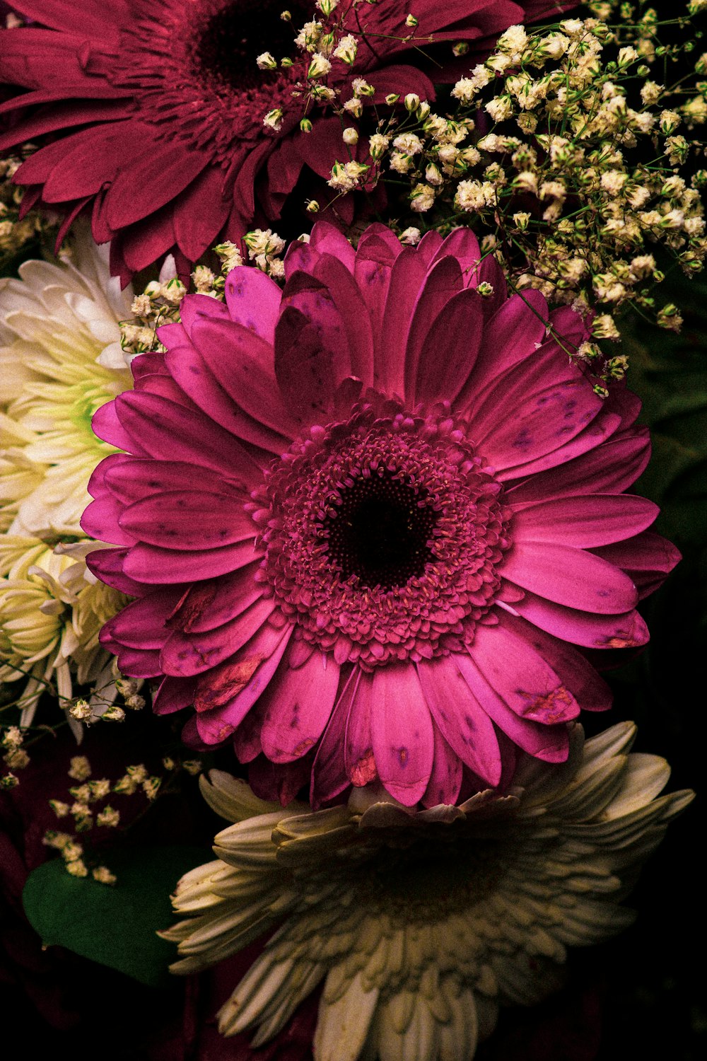 pink petaled flower