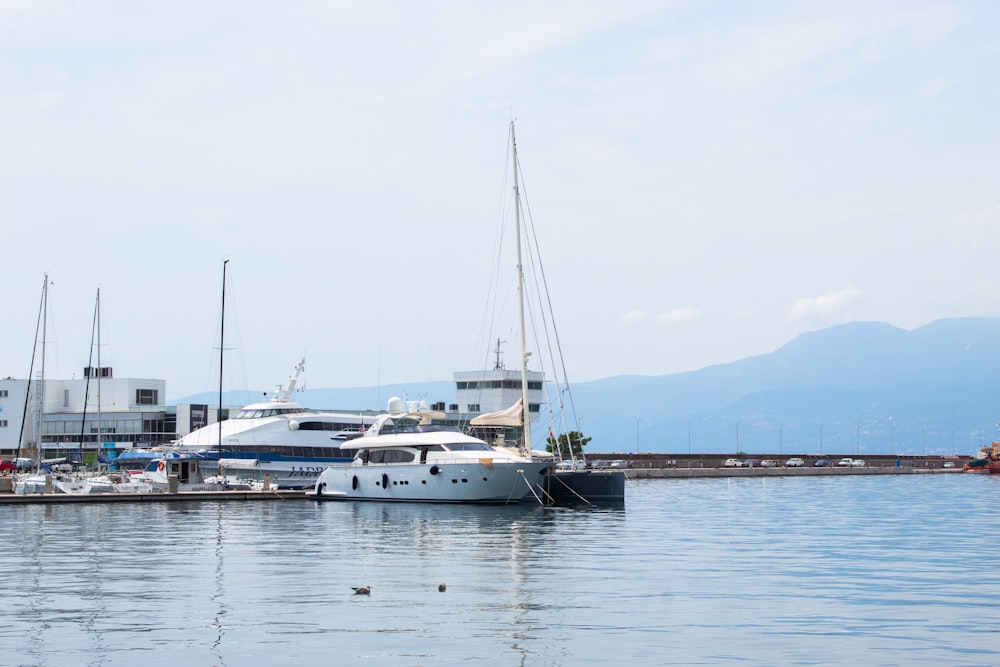 white yacht on harbour during daytime