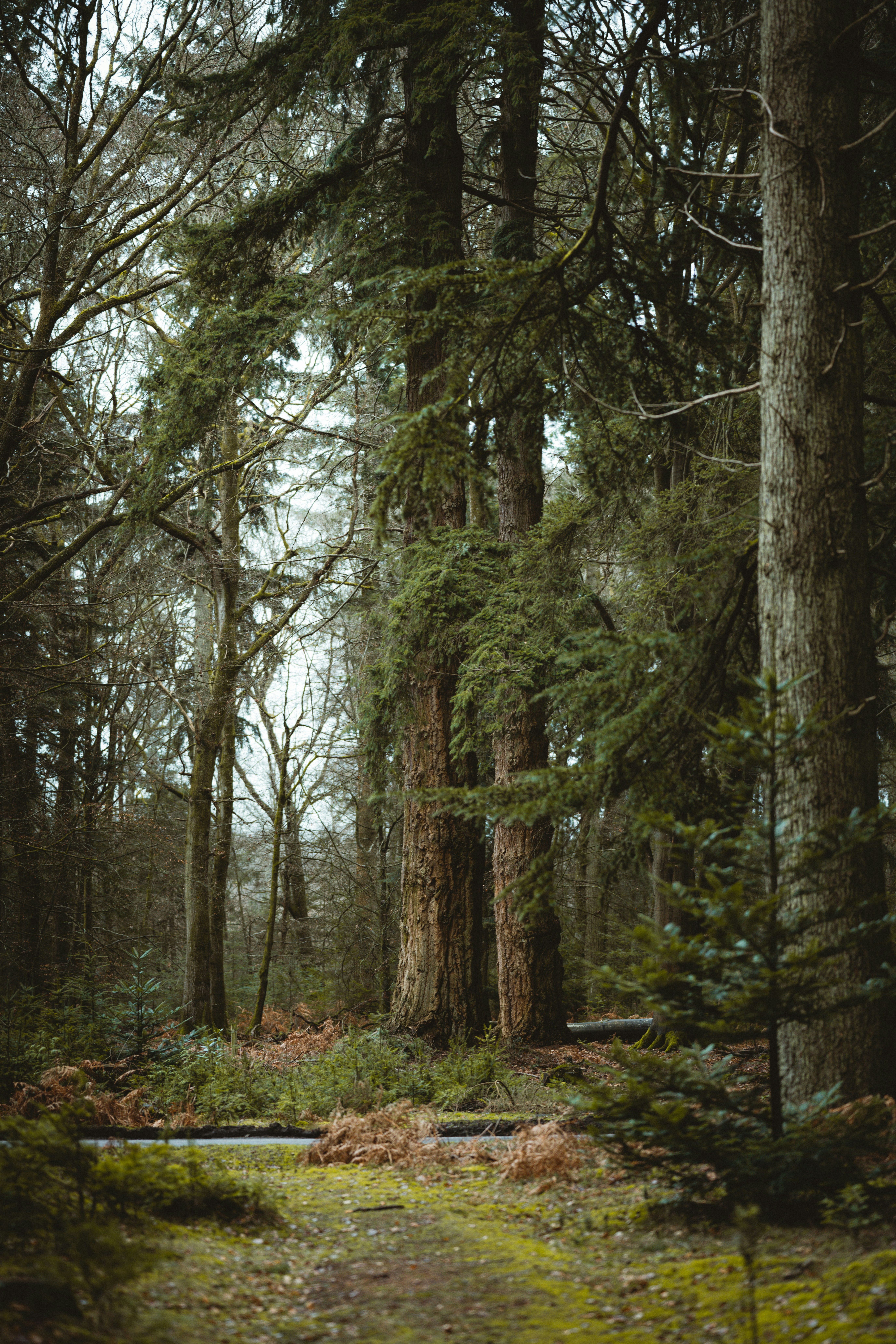 Photo by anniespratt