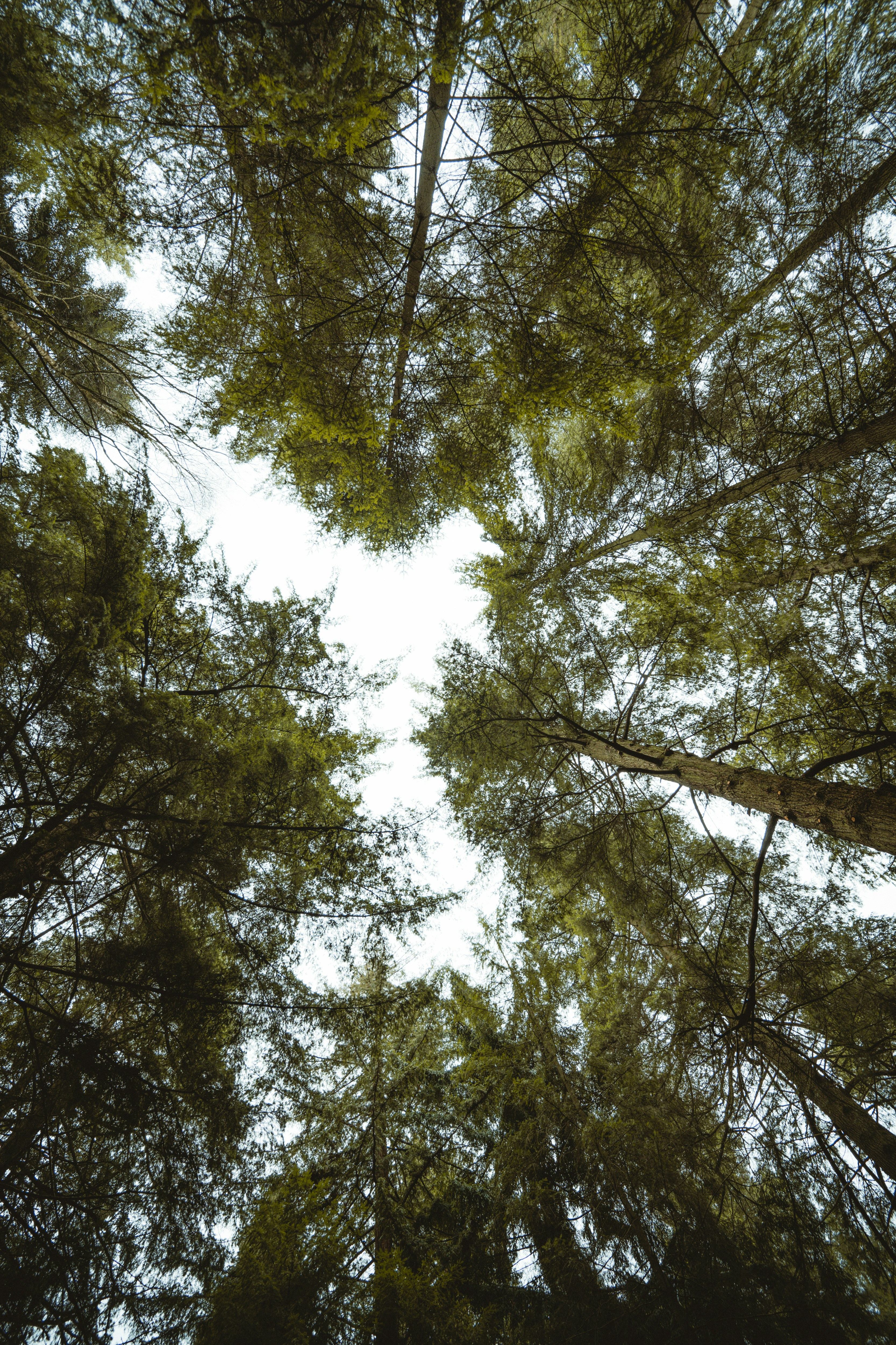 Photo by anniespratt