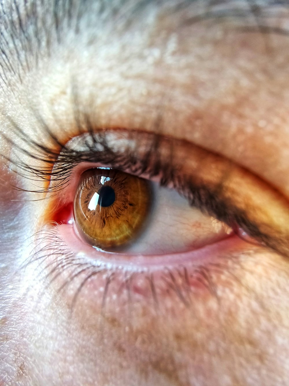 person's brown eye