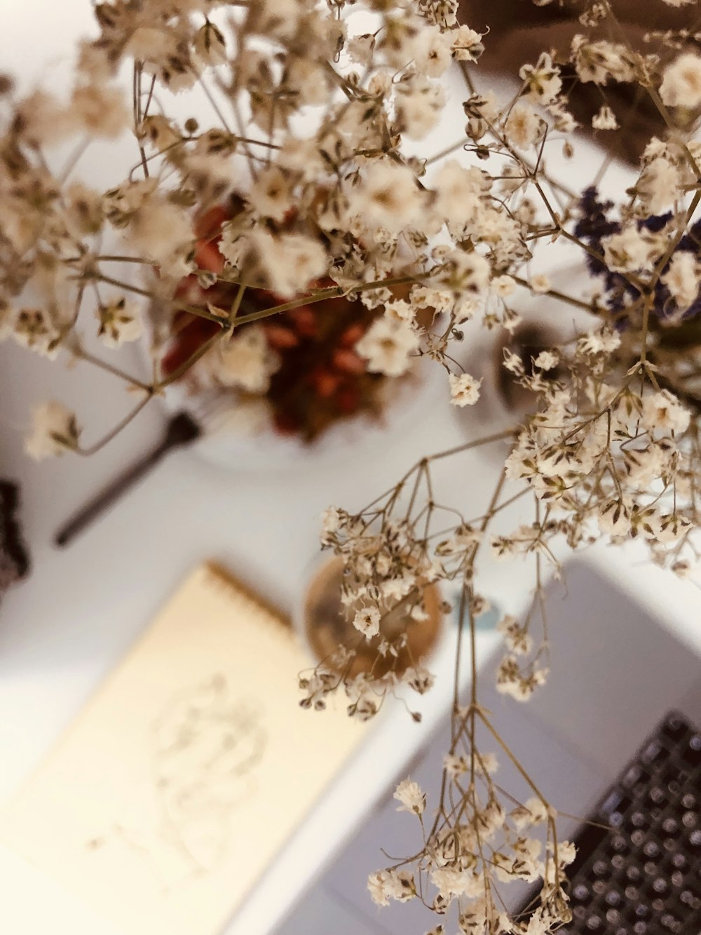 selective-focus photograph of white petaled flower