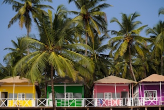 Colorful beach huts in yellow, green, and pink are nestled among tall, lush palm trees under a clear blue sky. The huts have white windows and are elevated slightly above the ground with wooden decks.